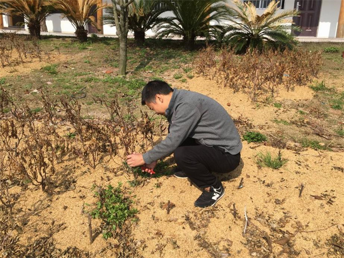 BB���ӡ�(china)�ٷ���վ