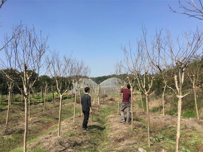 BB���ӡ�(china)�ٷ���վ