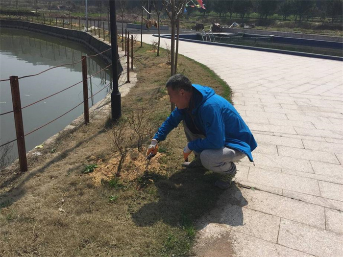 BB���ӡ�(china)�ٷ���վ