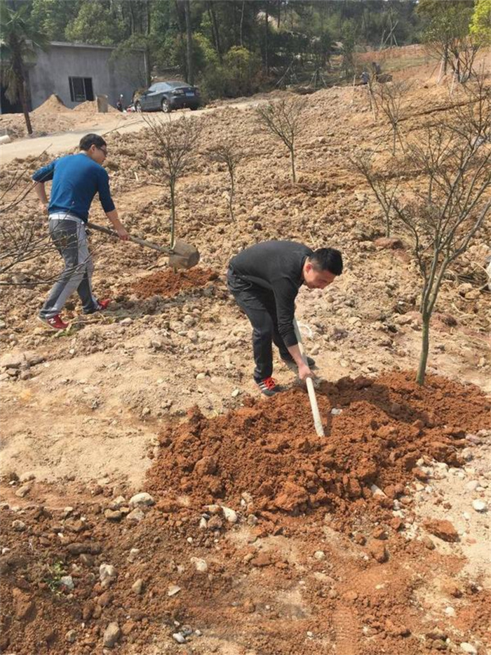 BB���ӡ�(china)�ٷ���վ