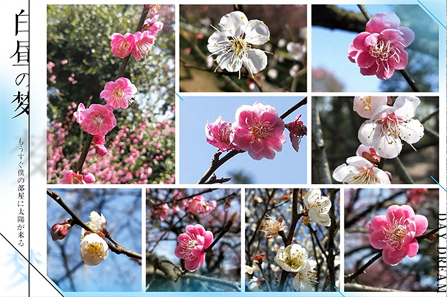 BB���ӡ�(china)�ٷ���վ